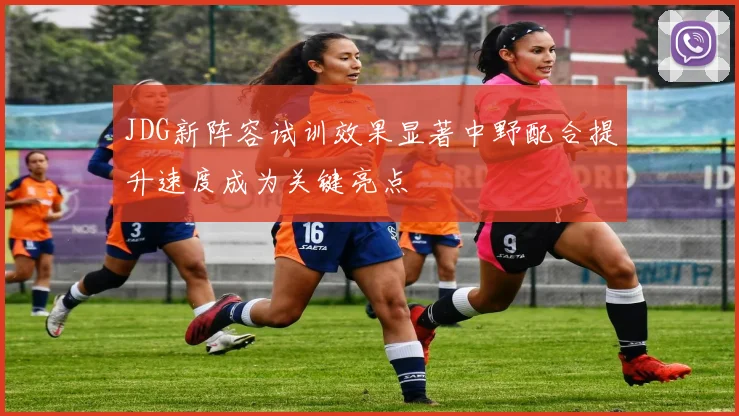 JDG新阵容试训效果显著中野配合提升速度成为关键亮点